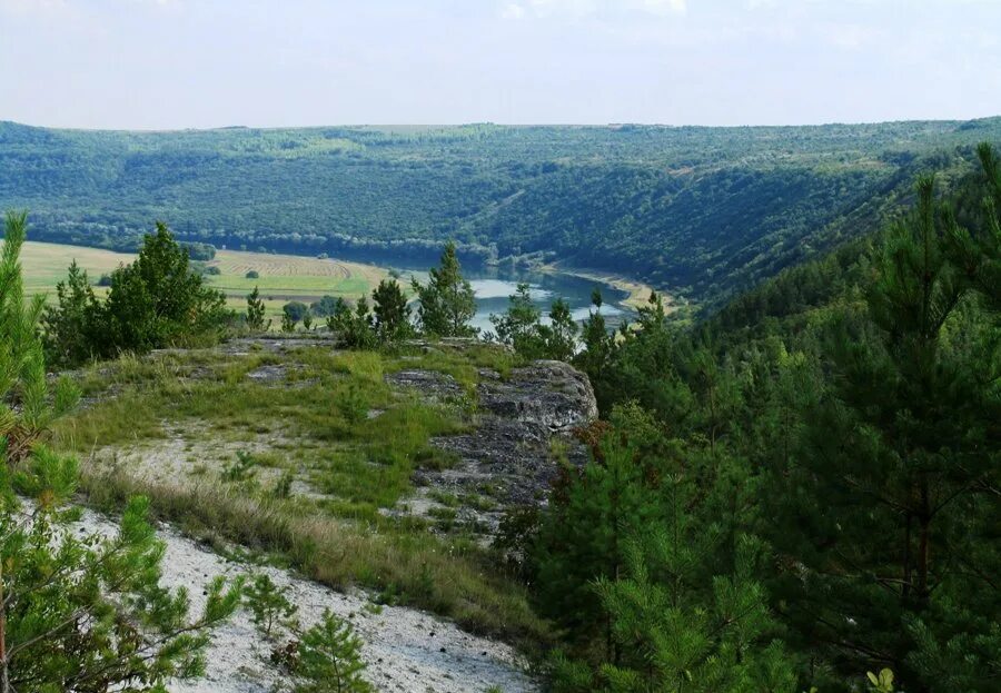 Село Кременчуг Молдова. Село Кременчуг ПМР. Кременчуг Приднестровье. Волонтировка Молдова село. Видео окрестности