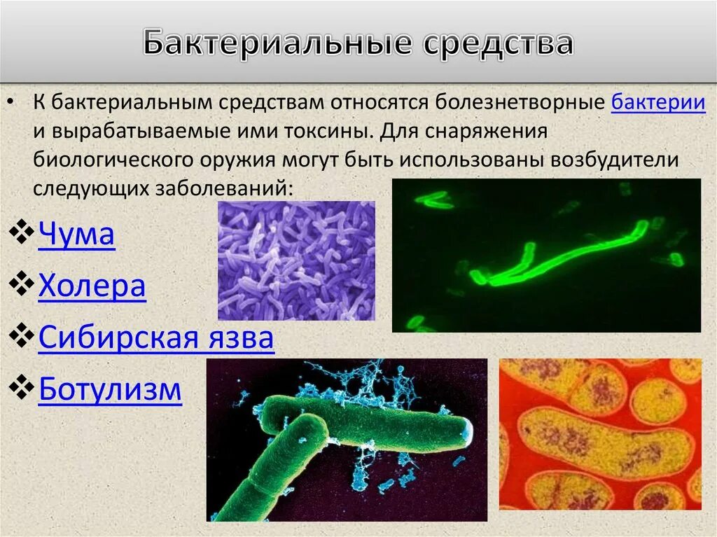 Возбудитель холера возбудитель чумы. Биологическое оружие бактерии. Бактерии возбудители заболеваний.