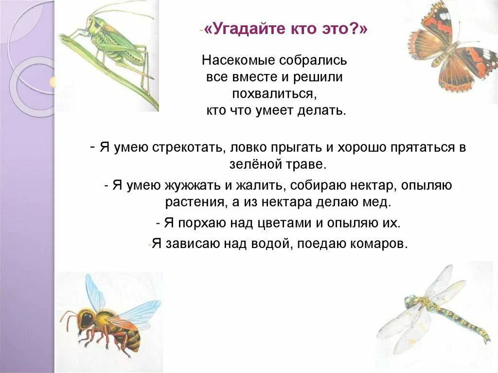 Задачи по теме насекомые. Насекомые логопедические задания. Насекомые и пауки лексическая тема. Лексическая тема насекомые. Текст про насекомых
