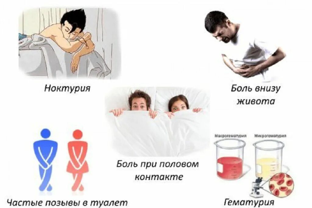 Будто хочется в туалет