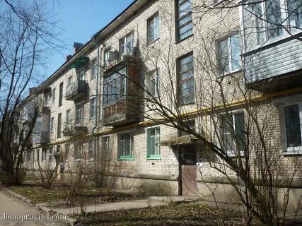 Сэс гатчина