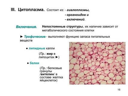 Наличие включений
