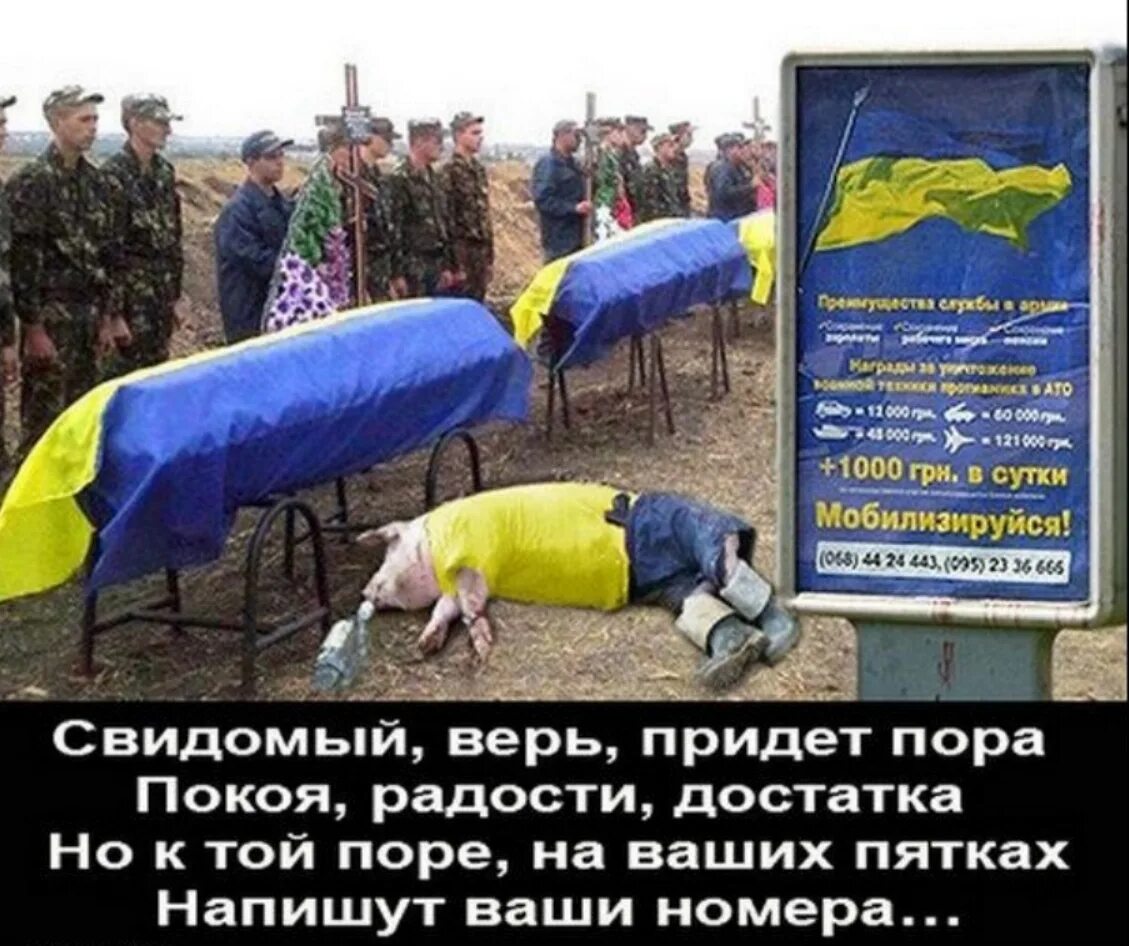 Хохол. Весёлые картинки проукраинцев.