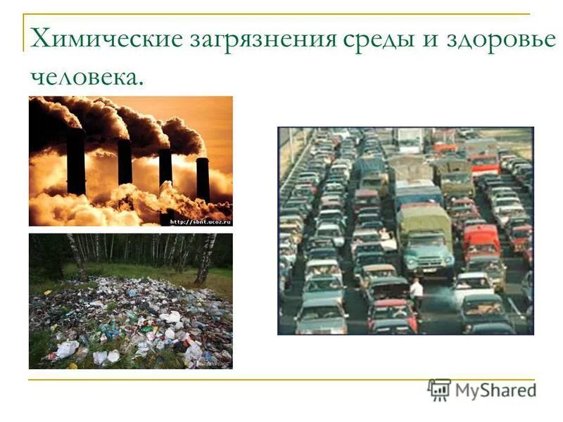 изучением влияния загрязнений на окружающую среду