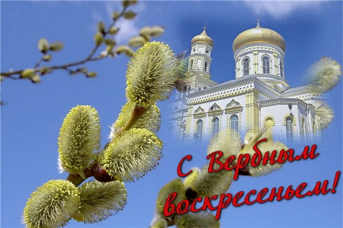 С Вербным воскресеньем. С праздником Вербное воскресенье. С Вербным воскресеньем открытки. С Вербным воскресеньем открытки с поздравлением.