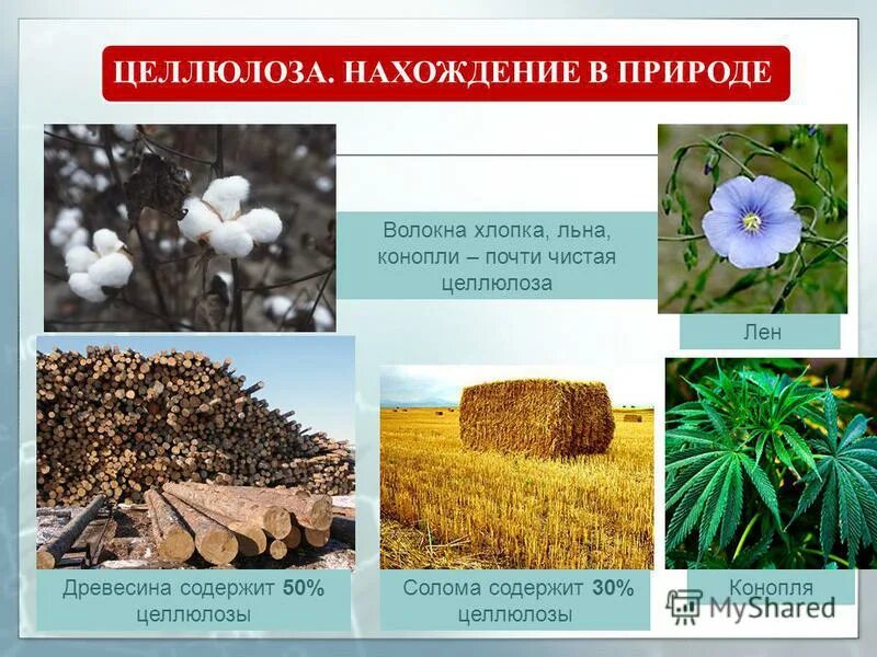 Целлюлоза содержит. Полисахариды растительного происхождения. Целлюлоза содержит. Целлюлоза хим строение. Клетчатка.