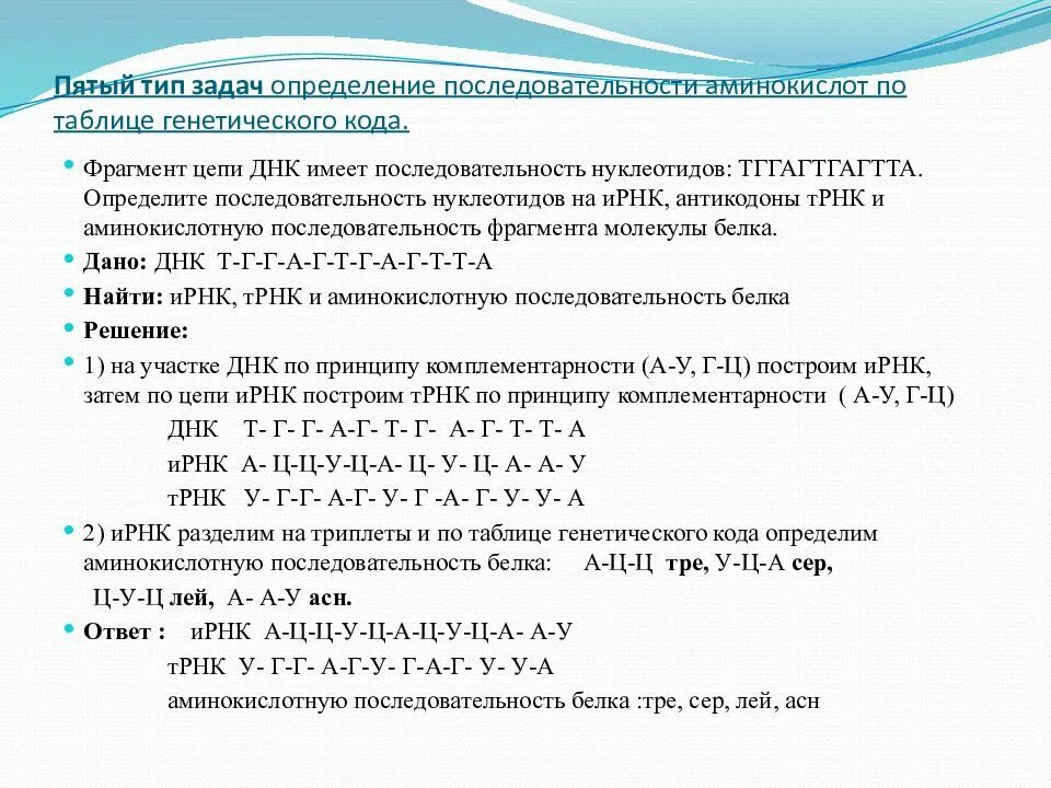 Сколько нуклеотидов содержит м рнк. Биология ДНК И РНК задачи. Задачи на Цепочки ДНК И РНК. Решение задач на Цепочки ДНК И РНК. Задачи на ДНК И РНК 9 класс.