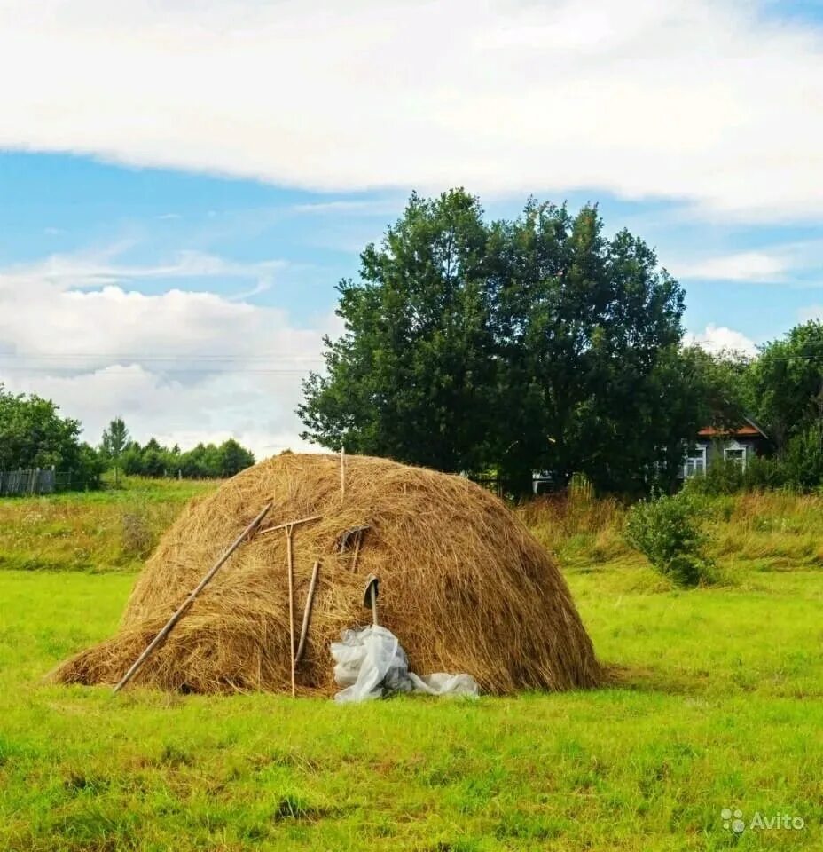 Сколько сена в стогу. Калязин. Скирда. Стог.. Скирда сноп. Сенная копна. Деревня сено.