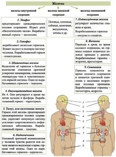 Гипо и гиперфункция эндокринных желез