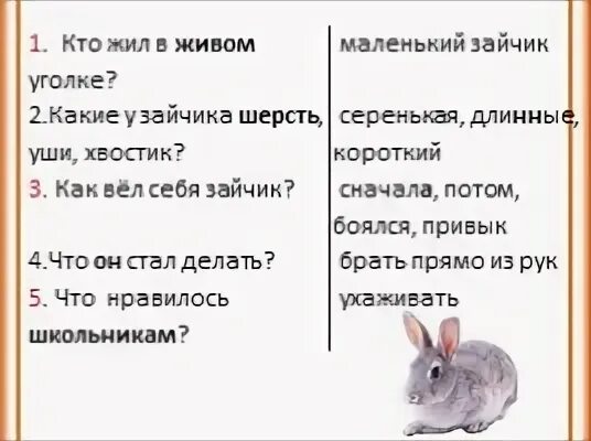 Функциональная грамотность про зайчишку и овощи ответы