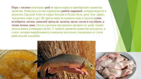 Печень какой рыбы можно есть