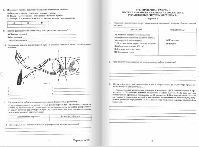 Впр био 8 класс