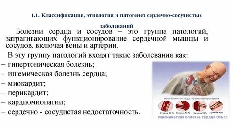 Как предупредить болезни сердечно сосудистой системы
