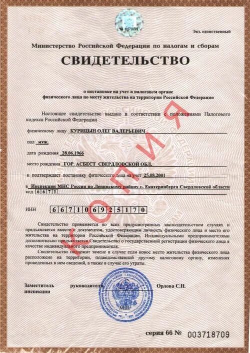Ннн документ узнать. Инн документ. Ннн документ узнать. Ннн документ узнать. Инн физического лица пример.