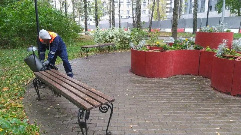 марков василий жилищник ростокино. жилищник байкальская. жилищник байкальская. жилищник кусты.