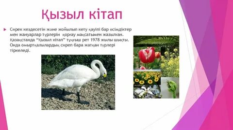 Өте жуан сиқырмен блять