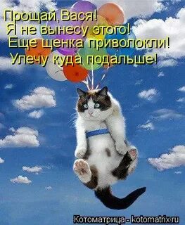 Прощай вася