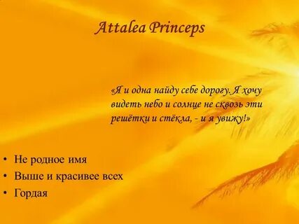 Имя выше всех имен
