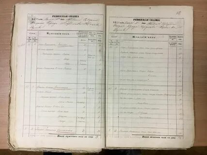 Ревизские сказки вологодского уезда