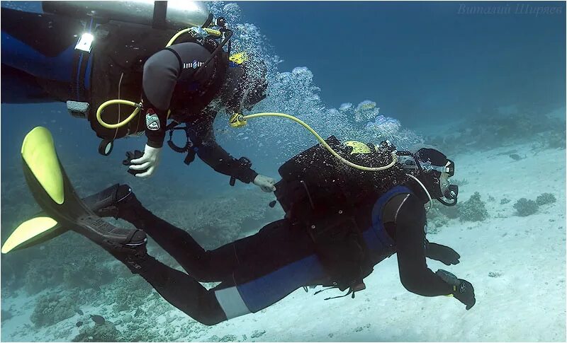 скуба акваланг. подводный хоккей. дайвинг клуб. у многих видов спорта есть подводные. акваланг для дайвинга.