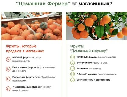 Гибриды семена можно ли