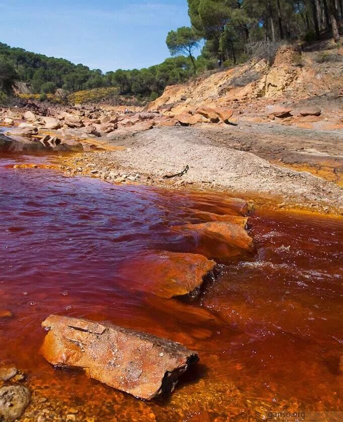 Река с красной водой. Река Рио тинто Испания. Река Рио-тинто (красная река). Река Рио Tinto. Река Эль-Рио-винегре.