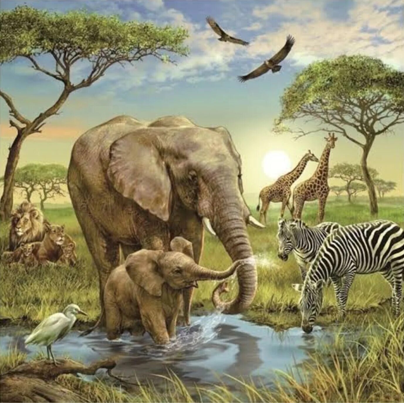 New animal world. 10009 пазл super 3d «экзотическая живая природа», 500 детал. Красивые пазлы для взрослых. New animal world. Самые красивые пазлы в мире.