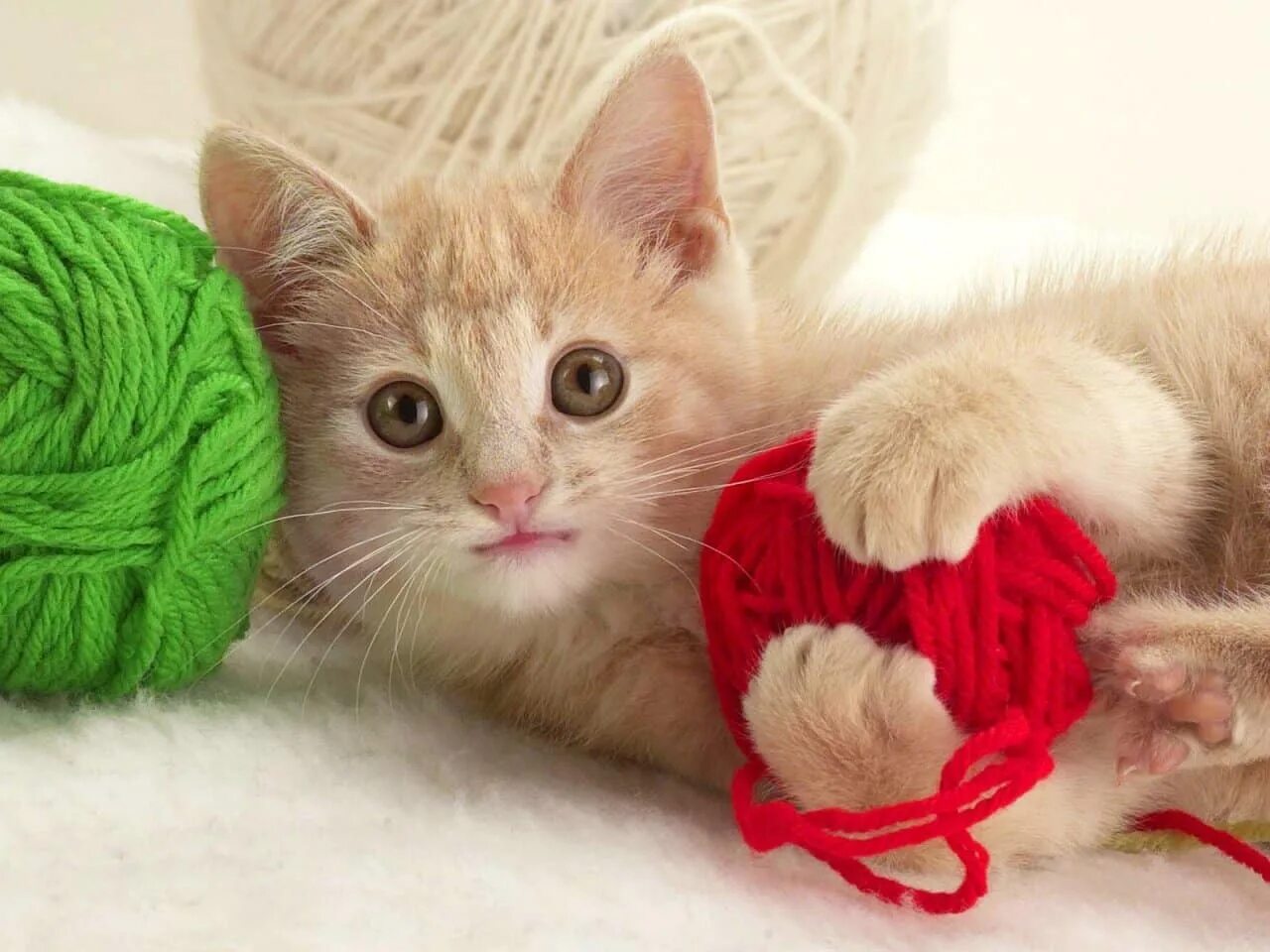 Котенок играющий с клубком. Кошка с клубком. игривый котенок. картинки котят. котёнок и клубок.