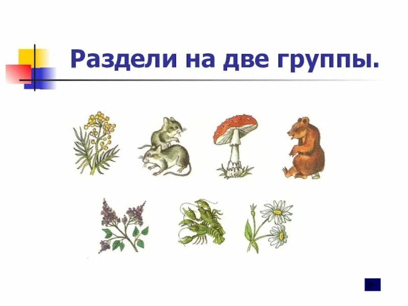 На несколько групп 1. Разделение предметов на группы. животные деление на группы. методика раздели на группы для дошкольников. разделить предметы на группы.