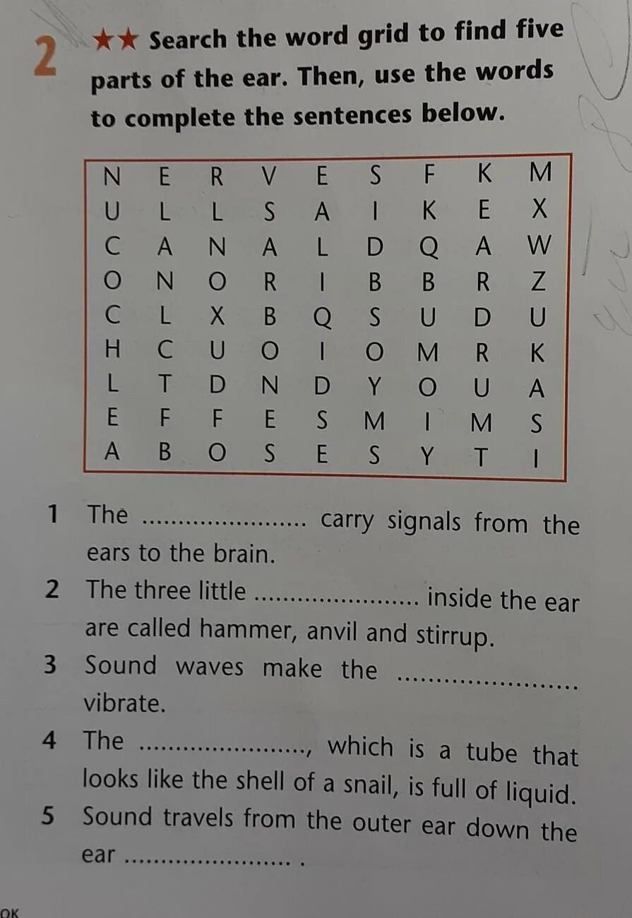 Then use. Word search. Find the Words from the Grid. Find the 12 Words in the Grid. Find the Words sentences.