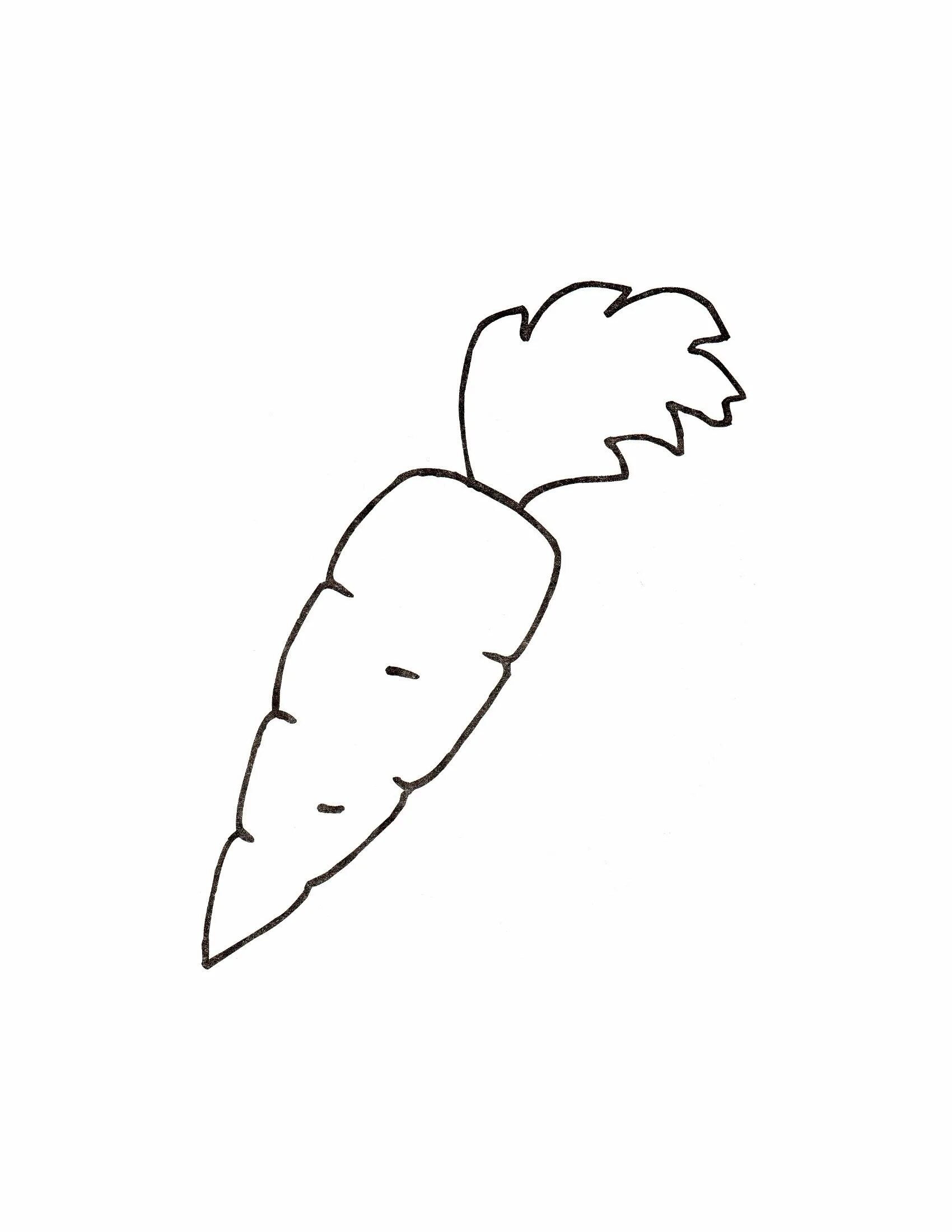 Раскраска овощи морковь. Морковь раскраска для детей. Морковь раскраска. Раскраска овощи морковь. Морковь раскраска для детей.