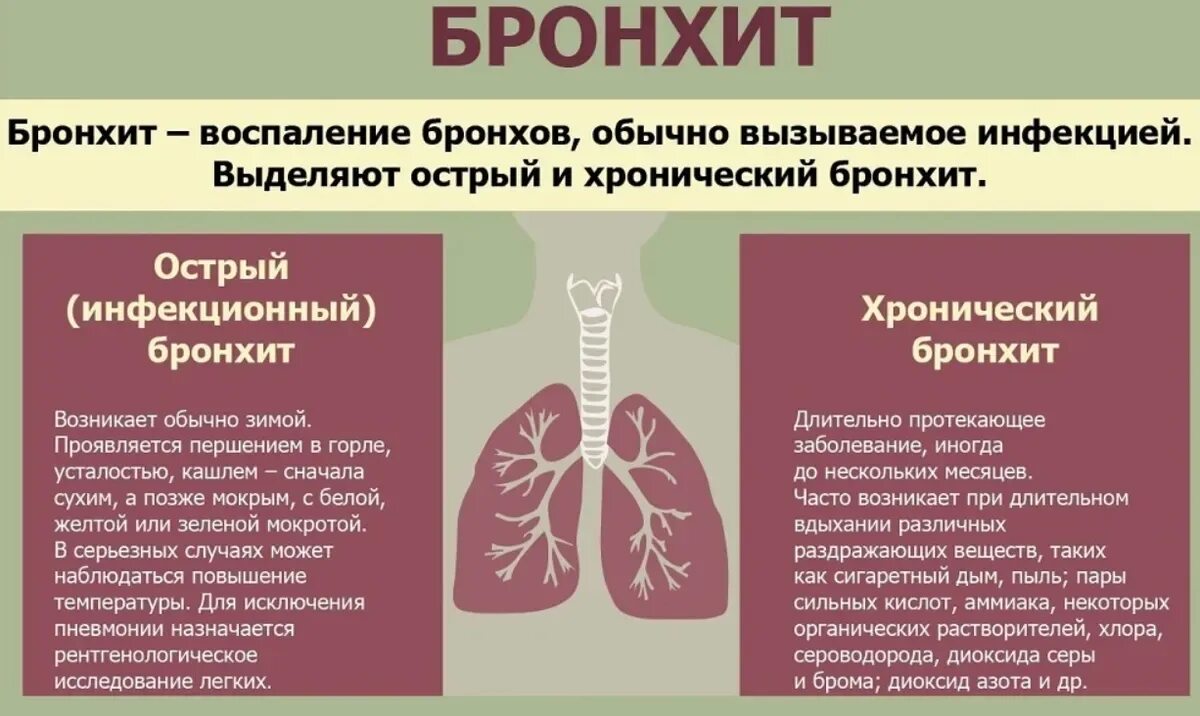 Профилактика заболеваний органов дыхания острый бронхит. Острый хронический бронхит клинические симптомы. Острый и хронический бронхит симптомы. Симптомы поражения бронхов