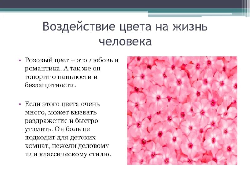 Розовый цвет в психологии. Розовый цвет характер. Розовый цвет чего в психологии. Характеристика людей любящих розовый цвет.