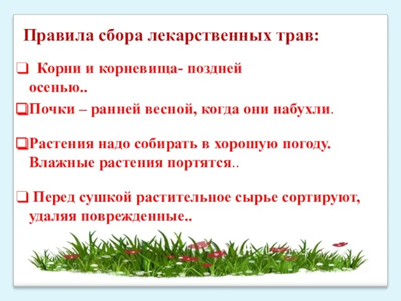 Сбор лекарственных растений. Правила сбора лекарственных растений. Памятка лекарственные растения. Период сбор лекарственных трав.