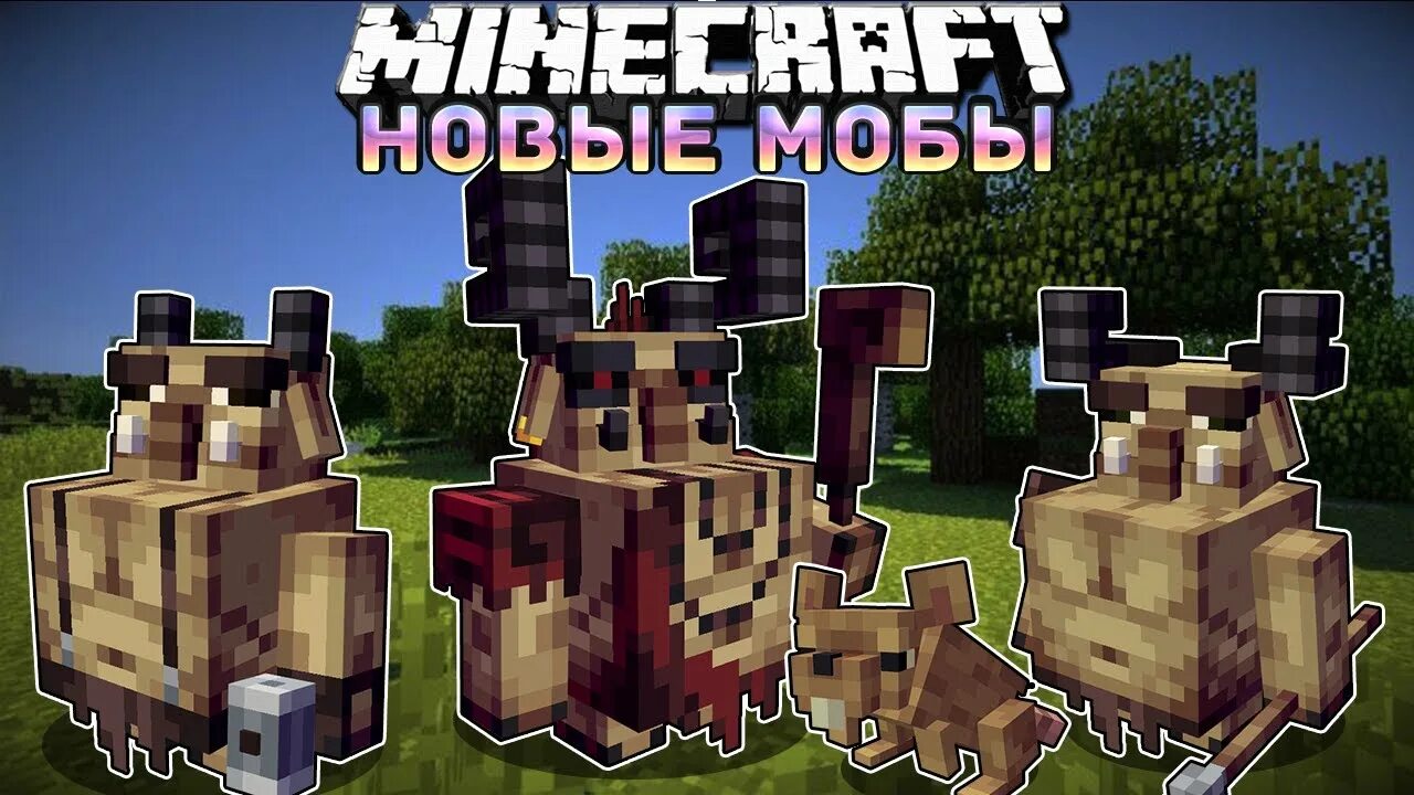 Gnumus settlement. Гнумус. Gnumus settlement. Скайрим мод на собственное поселение. Картвастен.