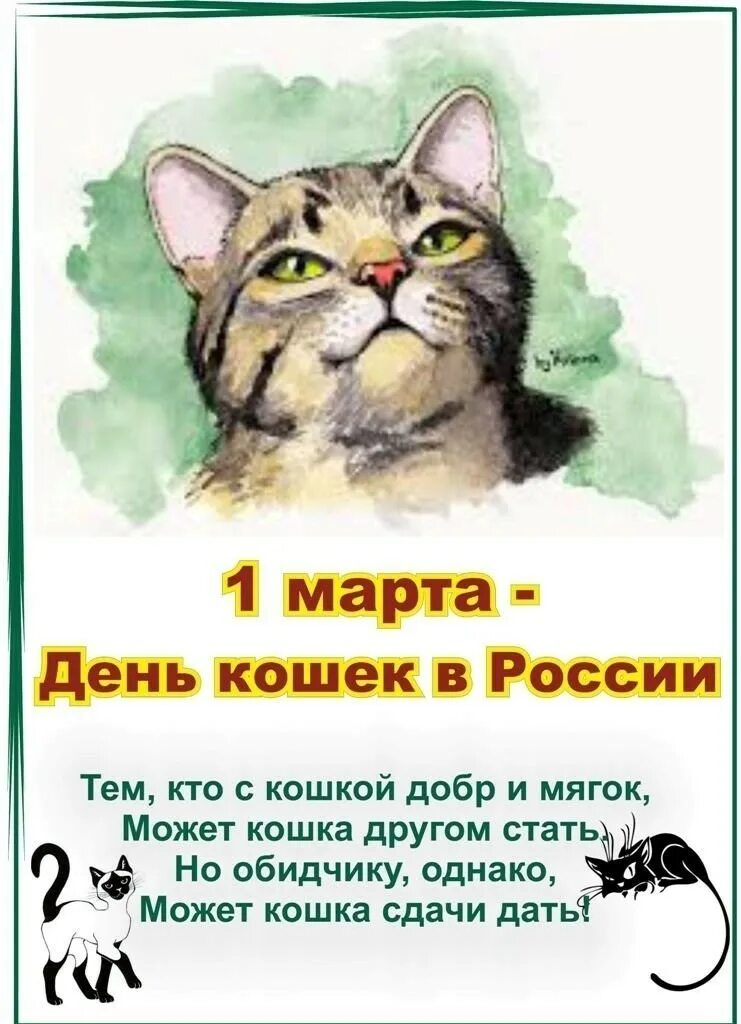 День котов стихи. День кошек. День кошек в России.