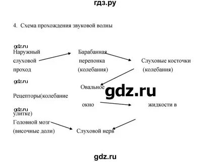 Биология пятый класс параграф 16