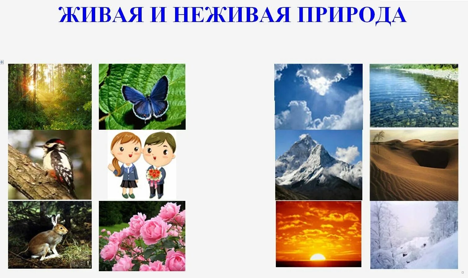 Россия живая неживая природа. Живая Живая неживая природа. Живпя иине Живая припода. Дивая и не Дивая природа. Живая и недива ЯПРИРОДА.