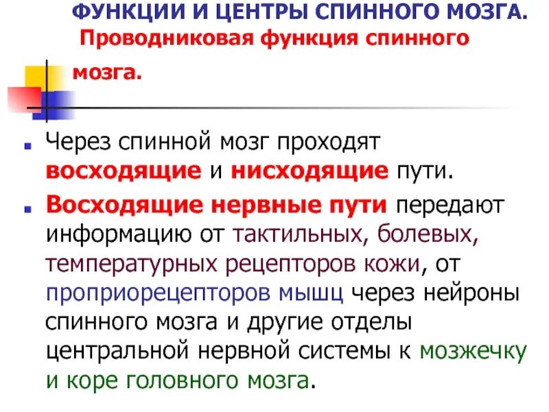 Проводниковая функция спинного мозга. Проводниковая функция спинного. Функция спинного мозга проводниковая функция. Проводниковая функция спинного мозга восходящие пути. Вещество спинного мозга выполняющие проводниковую функцию