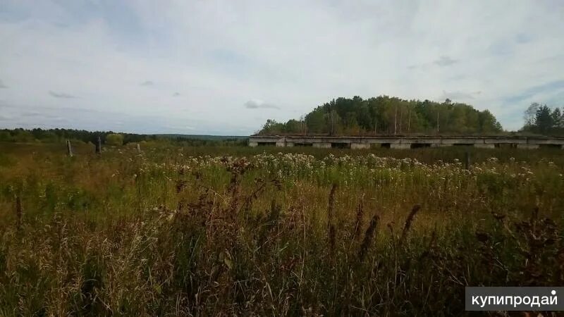 Деревня орловка московская область. Деревня орловка башкирия. Орловка красноярский край. Орловка красноярский край. Поселок орловка красноярский край.