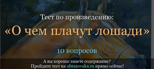 Тест по произведению о чем плачут лошади. Тестовые вопросы о чем плачут лошади. Кроссворд о чем плачут лошади. Тест на знание лошадей. Тест про лошадей с ответами.