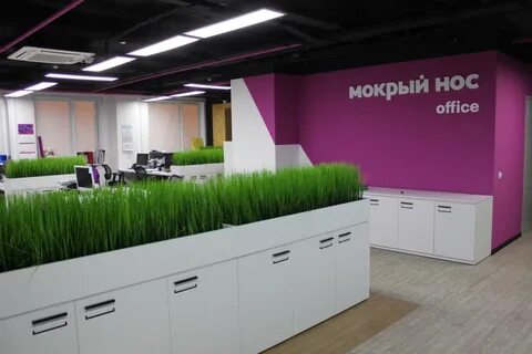 Мокрый новосибирск