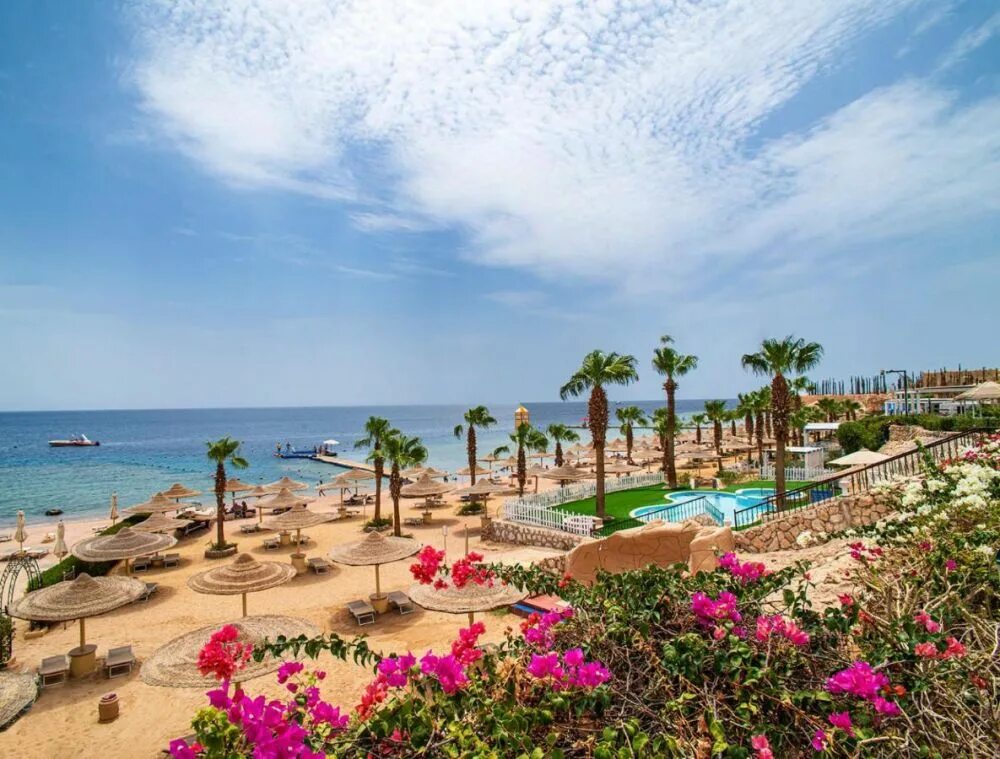 Шарм эль минск. Савой шарм-эль-шейх. savoy hotel шарм-эль-шейх. savoy sharm el sheikh hotel. отель совок шарм-эль-шейх.