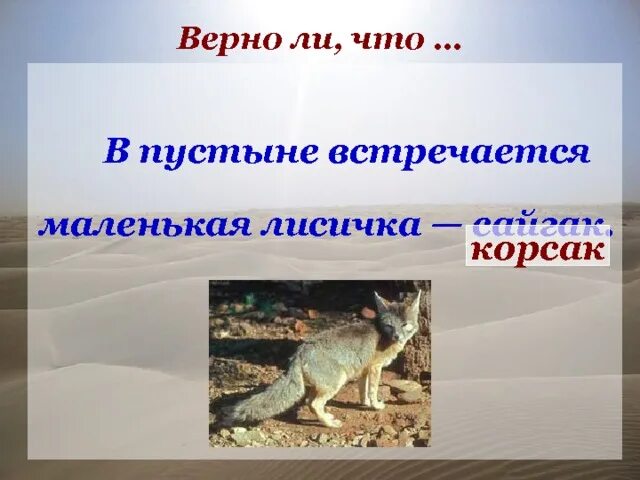 В пустыне встречается маленькая лисичка сайгак. Пустыня намиб и море. Намибия пустыня намиб. В пустыне встречается. Пустыня намиб и атлантический океан намибия.