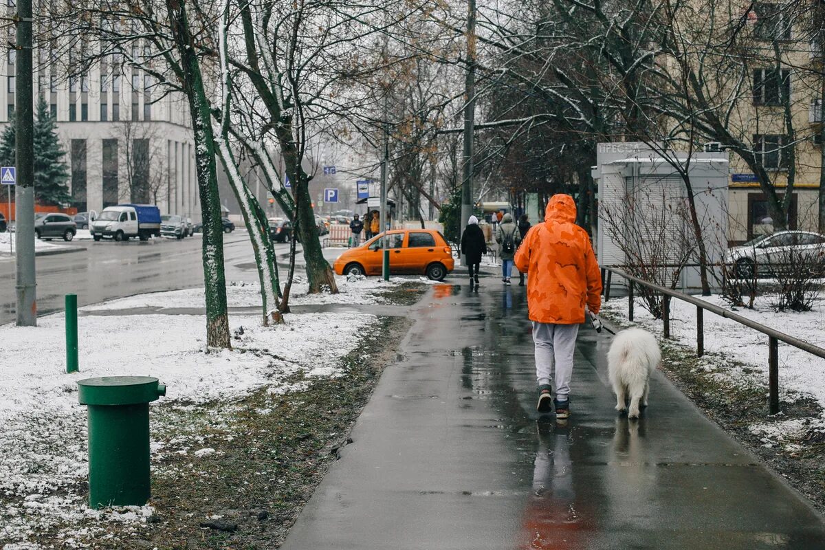 Теплая зима. Аномально теплая зима. Аномально теплая зима в Москве. Московский климат.