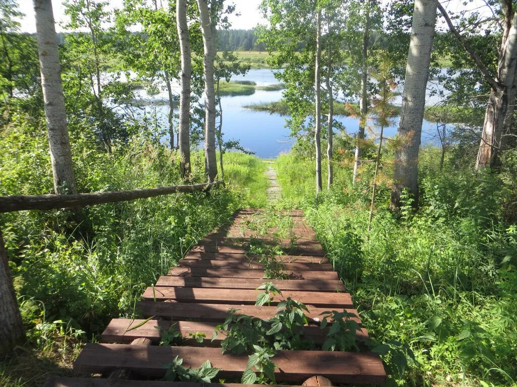 Купить дачу береговое. Первая Береговая линия реки Кубена. Дом на реке Кубене Вологда. Дом на первой линии реки. Коттедж на берегу реки Кубена.