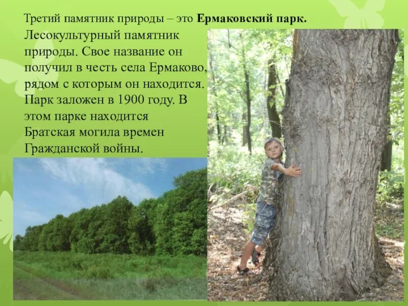 Характеристика памятников природы. Памятник природы сочинение. Памятники природы родного края. 3 Памятника природы. Сообщение о памятнике природы.