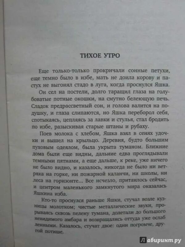 Он сел на постели долго таращил. Произведение тихое утро. Рассказ тихое утро. Тихое утро. Рассказы книга. Рассказ тихое утро Казаков.