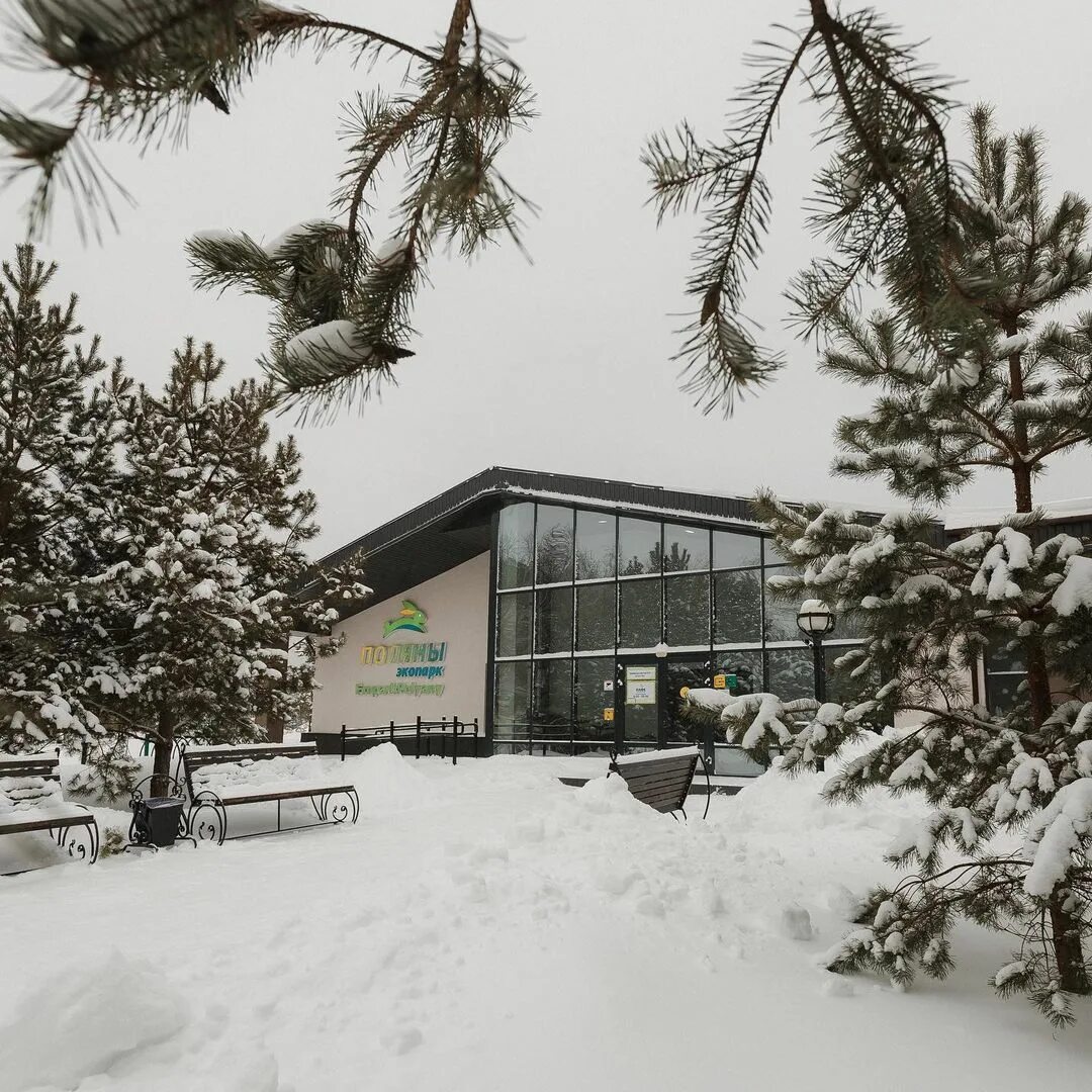 эко отель поляны рязань. термо рязань экопарк поляны. эко поляны рязань. парк отель поляны рязань. экопарк поляны рязань домики.