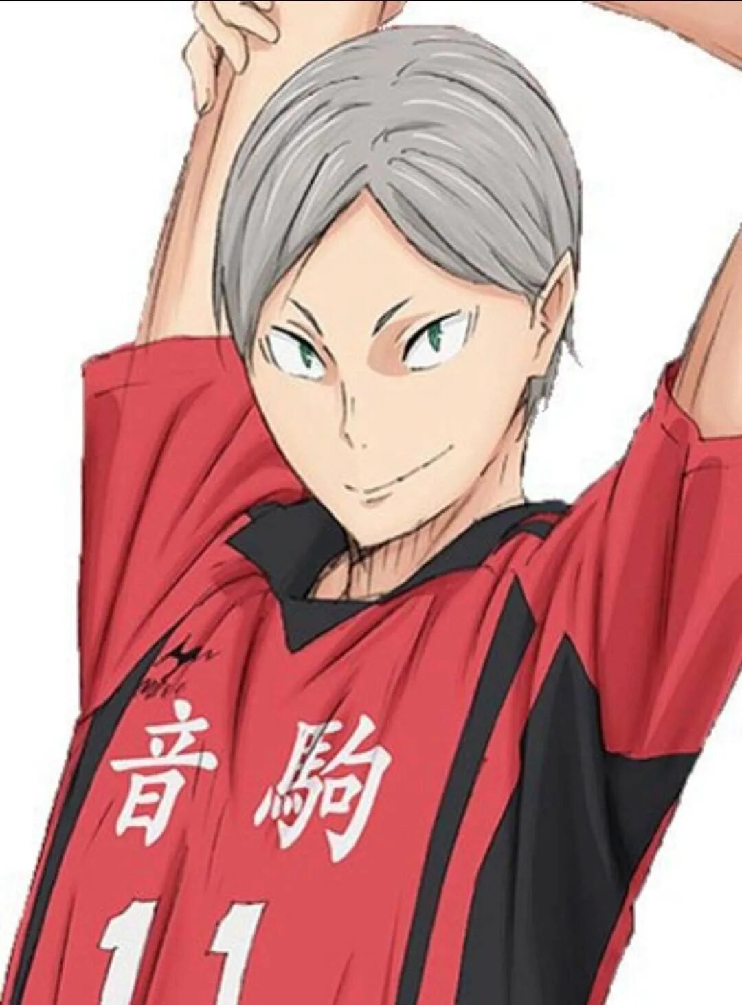 Львы про волейбол. Лев хайба. лев хайба волейбол.